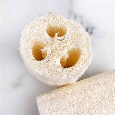  Luffa! A Diving Sponge That Doubles As A Kitchen Essential