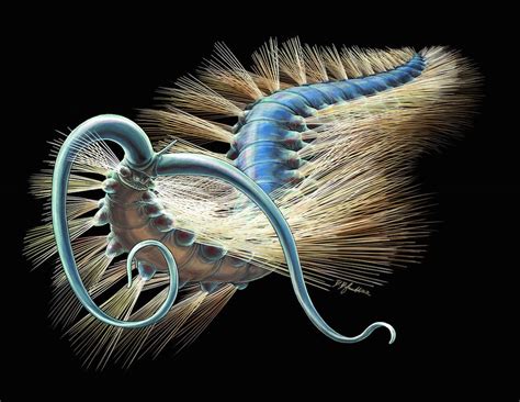  Virginiaiids: Uncovering the Secrets of Bristly-Worm Wanderers in Rocky Depths!